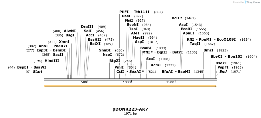 10885_map