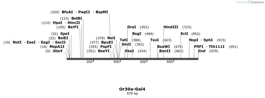 108850_map