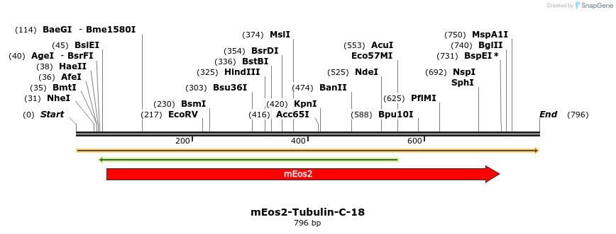 108851_map