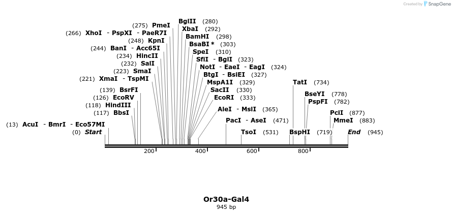 108852_map