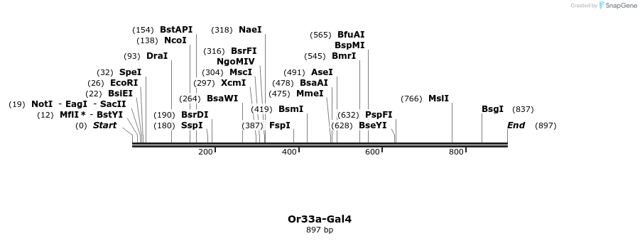 108854_map