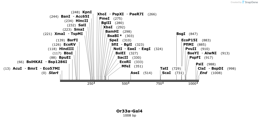 108856_map