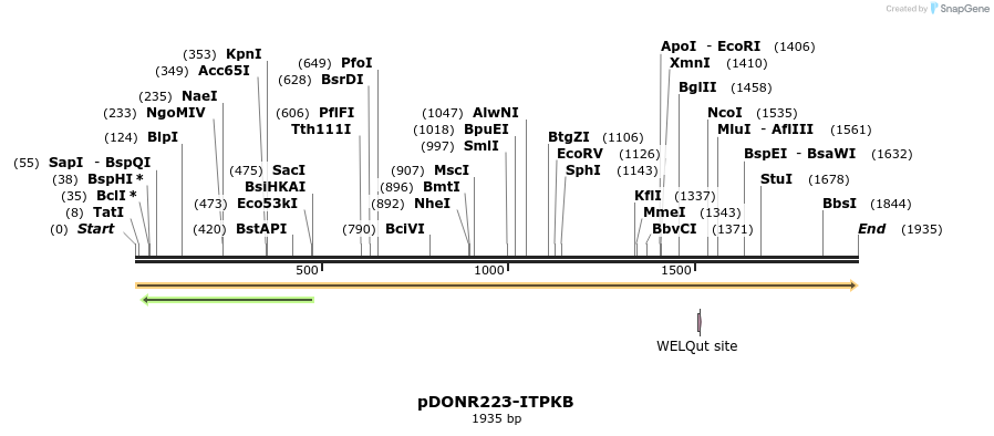 10886_map