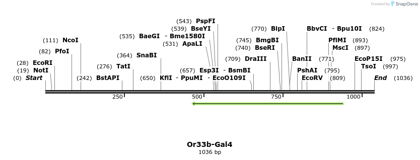 108861_map