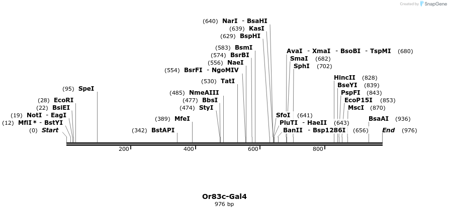 108868_map