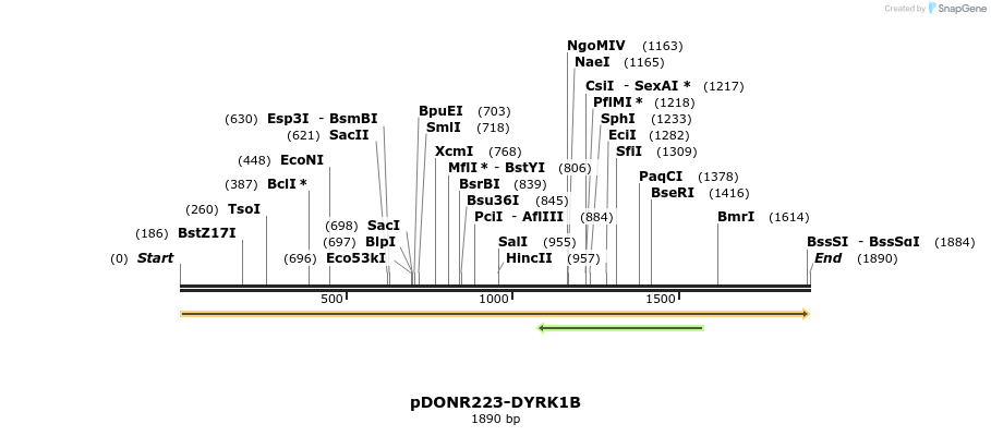 10887_map