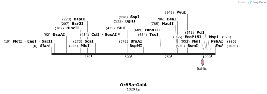 108870_map