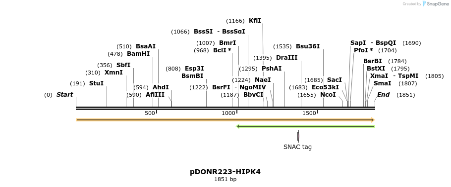 10888_map