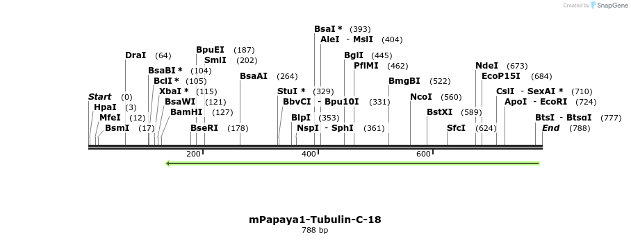 108891_map