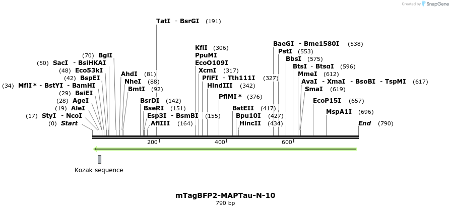 108894_map