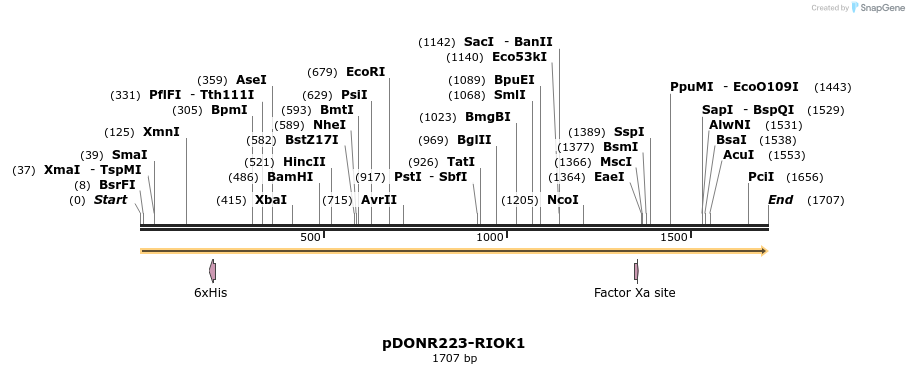 10890_map