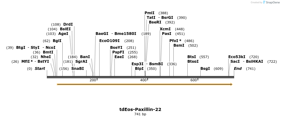 108901_map