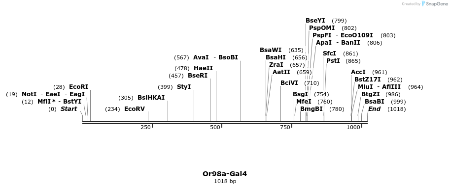 108902_map