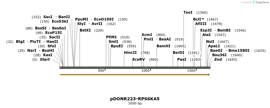 10891_map