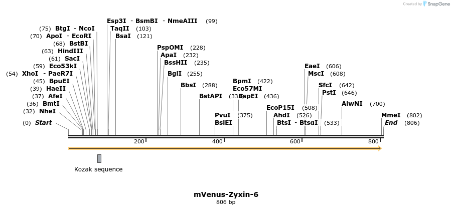 108911_map