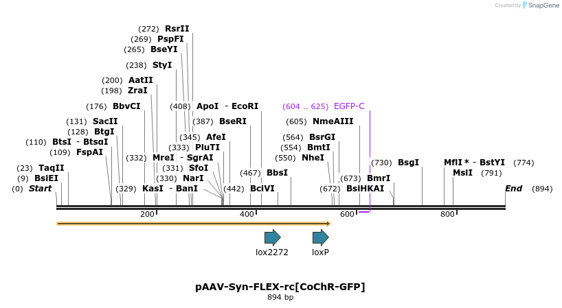 108912_map
