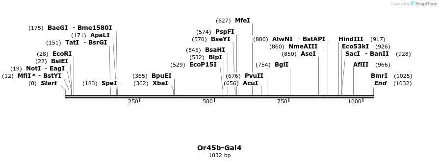 108913_map
