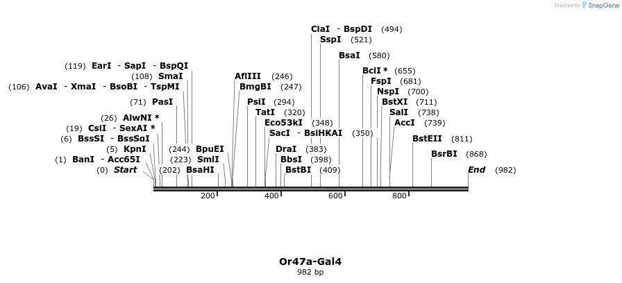 108916_map