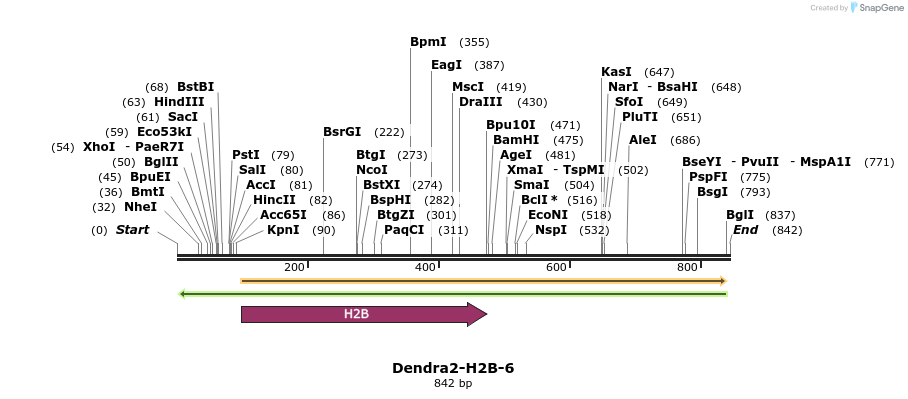 108933_map