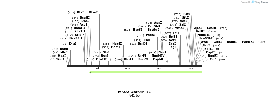 108936_map