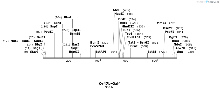 108943_map