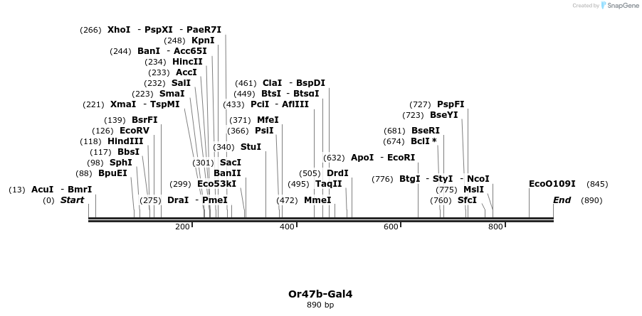 108947_map