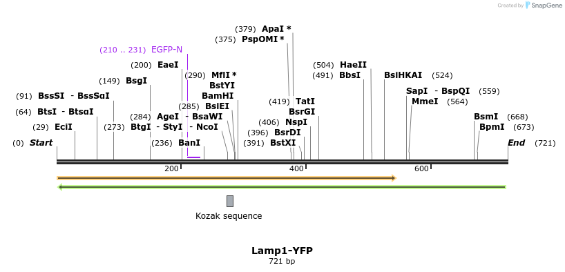 108950_map