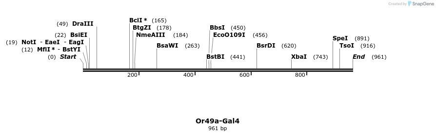 108951_map