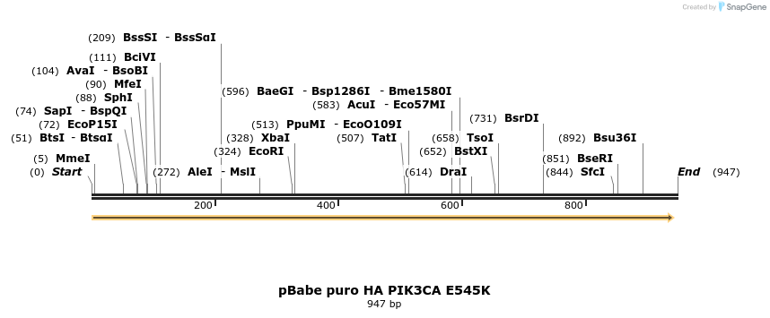108952_map