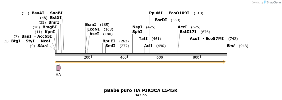 108954_map