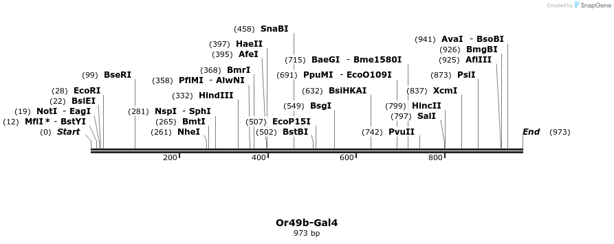 108957_map