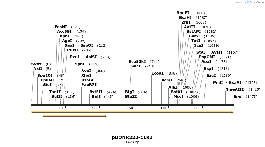 10896_map