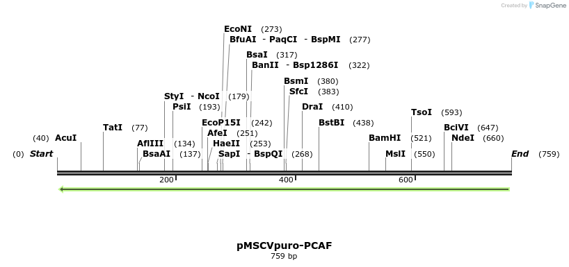 108965_map