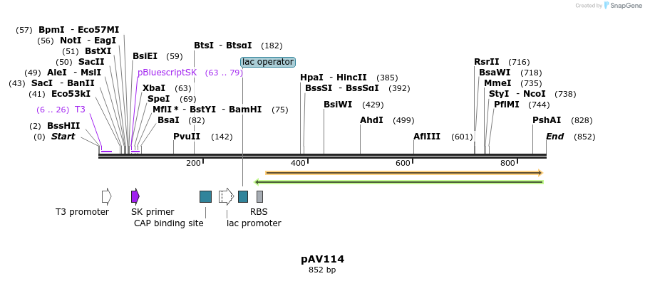 108969_map