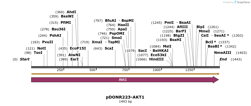 10897_map