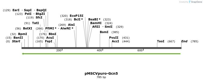 108970_map