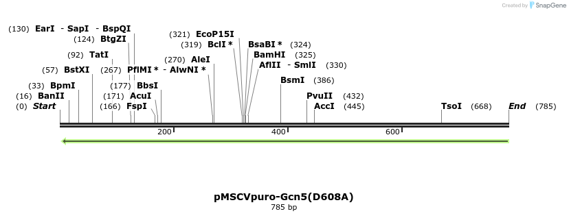 108972_map