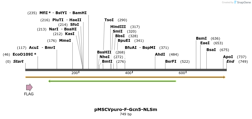 108974_map