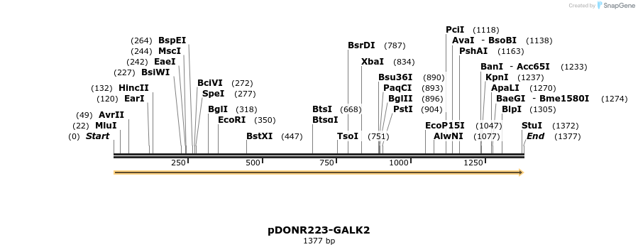 10901_map