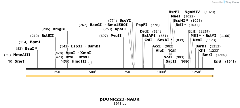 10902_map