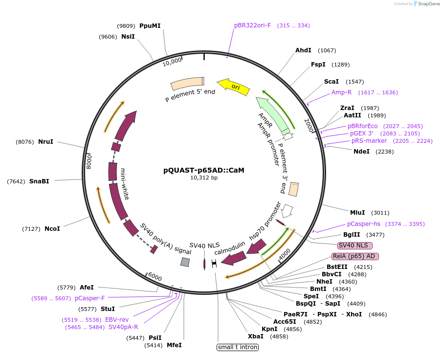 109041_map