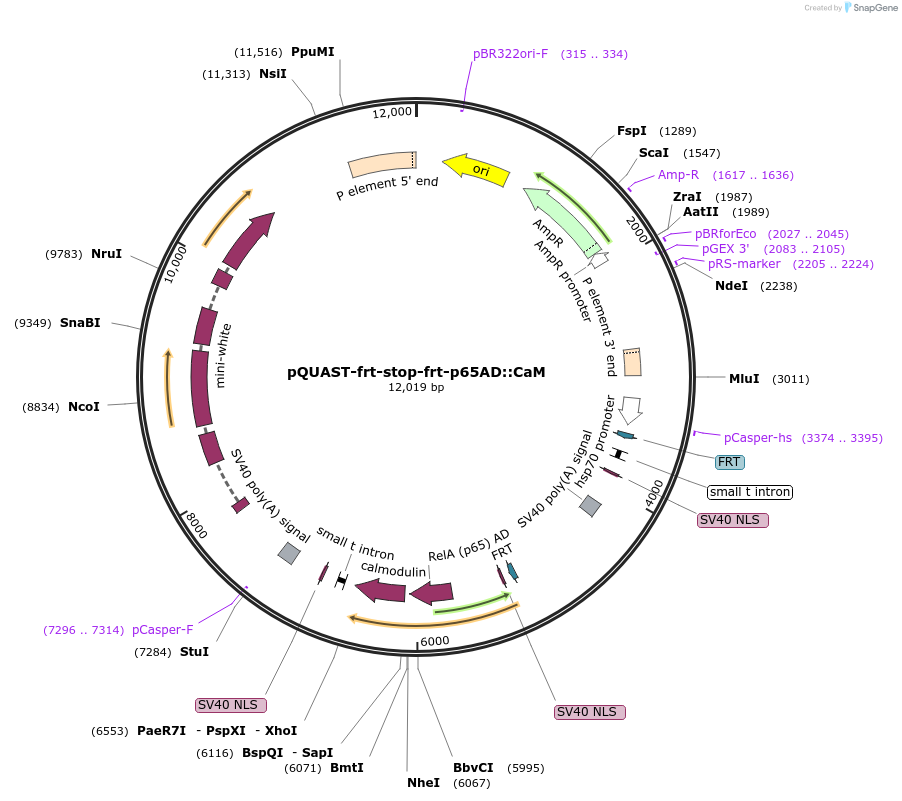 109043_map