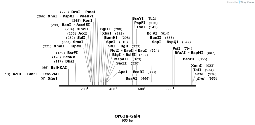 109046_map