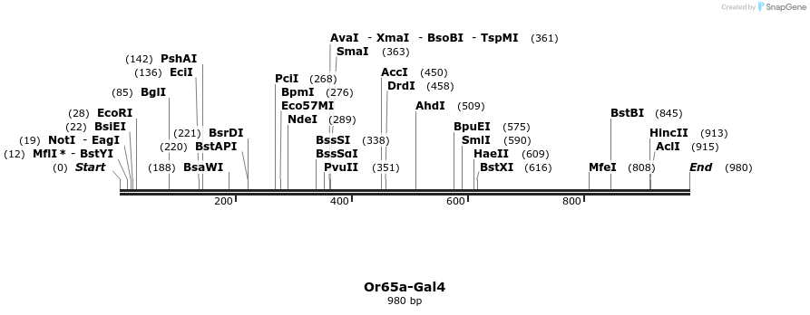 109048_map