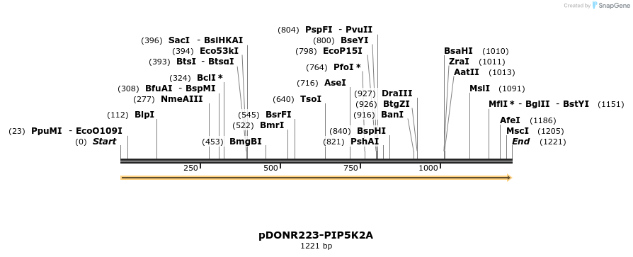 10905_map