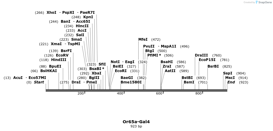 109050_map