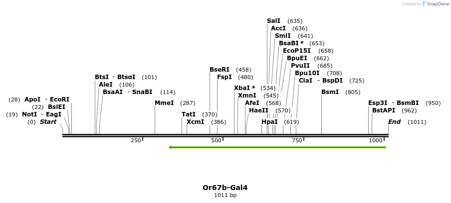 109053_map