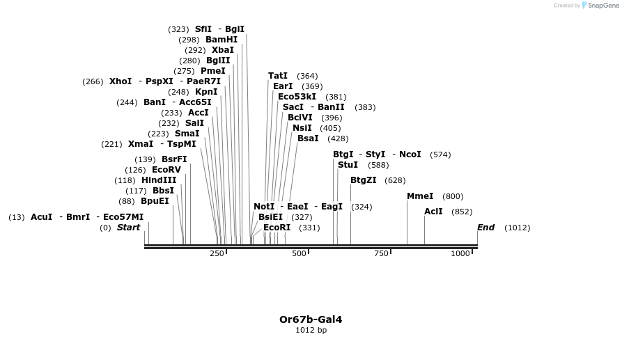 109054_map