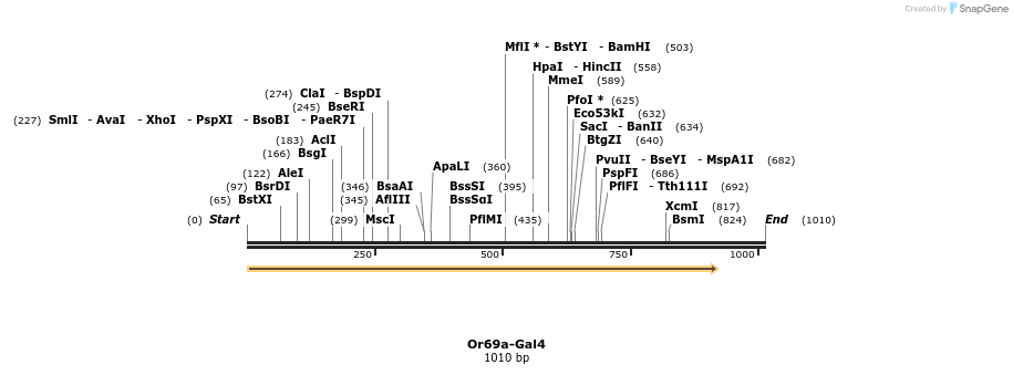 109055_map