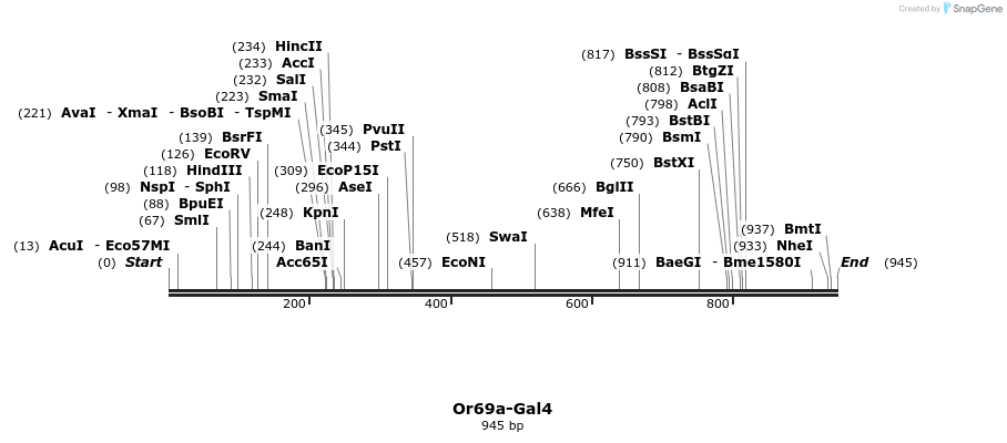 109056_map
